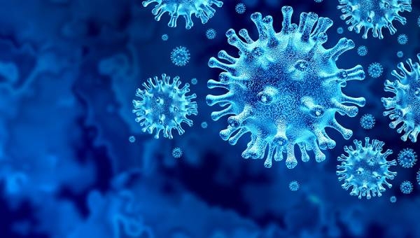 How to access the government financial help for small businesses